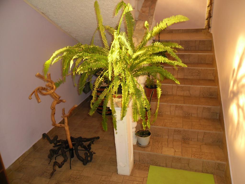 Apartmens Zara Šibenik Quarto foto