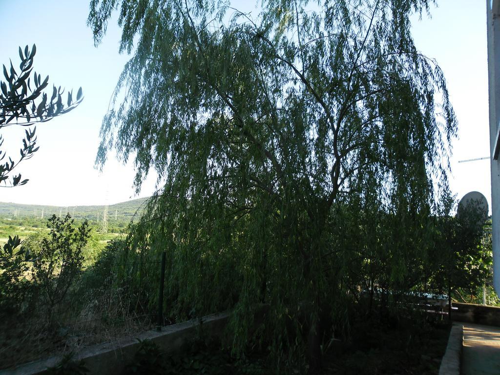 Apartmens Zara Šibenik Quarto foto